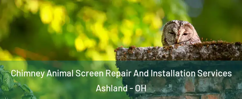  Chimney Animal Screen Repair And Installation Services Ashland - OH