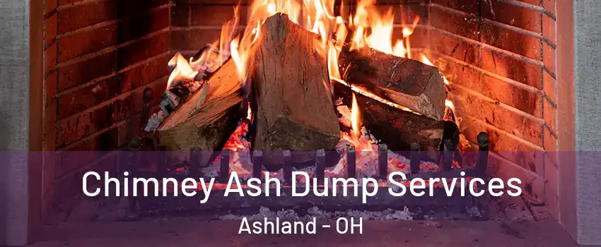  Chimney Ash Dump Services Ashland - OH