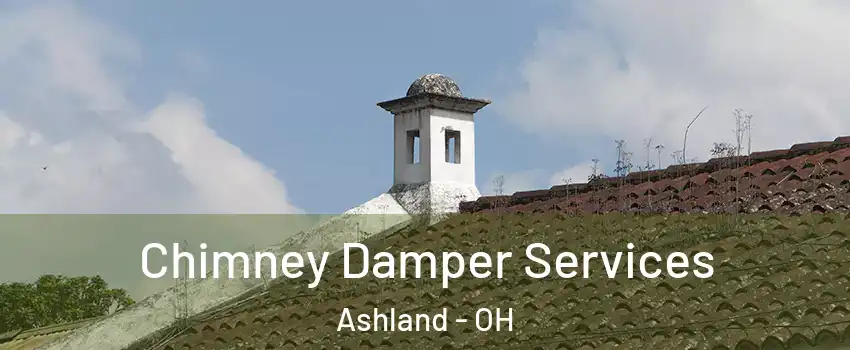  Chimney Damper Services Ashland - OH