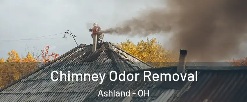  Chimney Odor Removal Ashland - OH