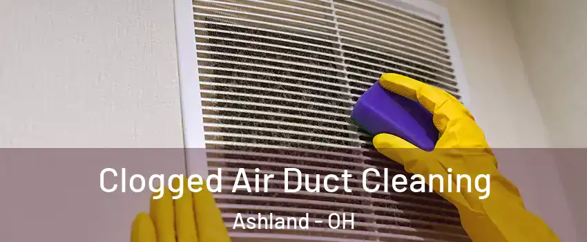  Clogged Air Duct Cleaning Ashland - OH