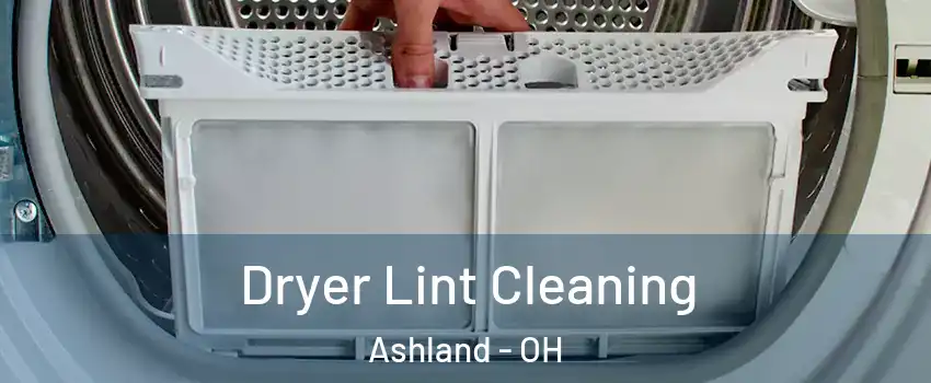  Dryer Lint Cleaning Ashland - OH