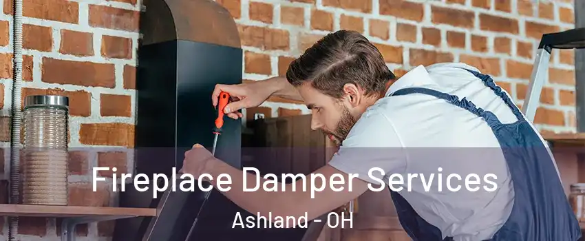  Fireplace Damper Services Ashland - OH