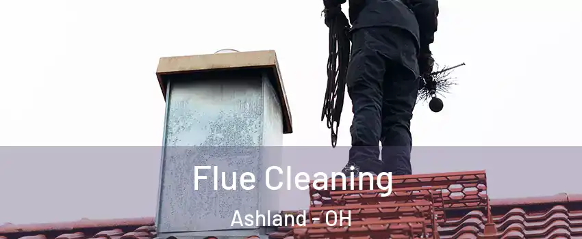  Flue Cleaning Ashland - OH