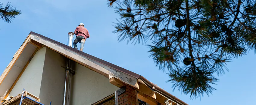Birds Removal Contractors from Chimney in Ashland, OH